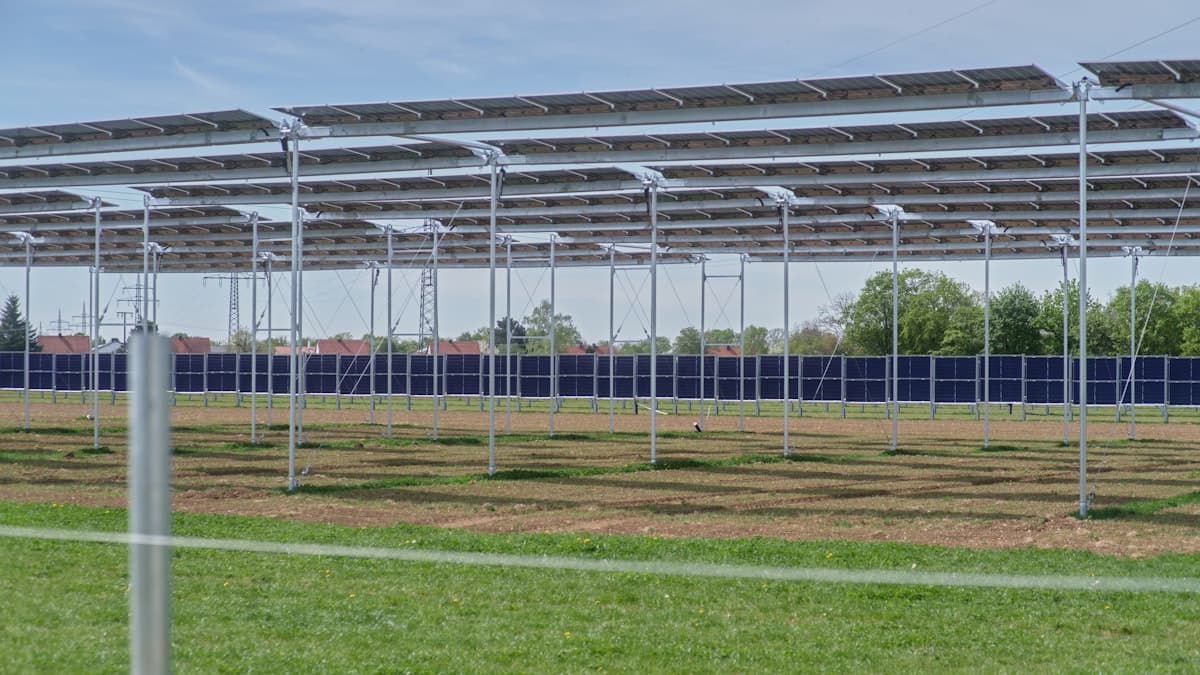 Alberta solar farm livestock contracts: new revenue stream