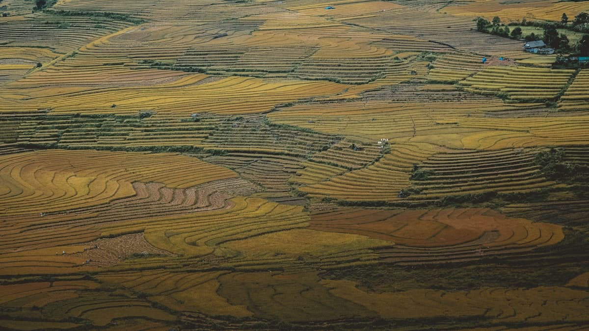 Canada Agriculture Gets National Security Focus: What It Means