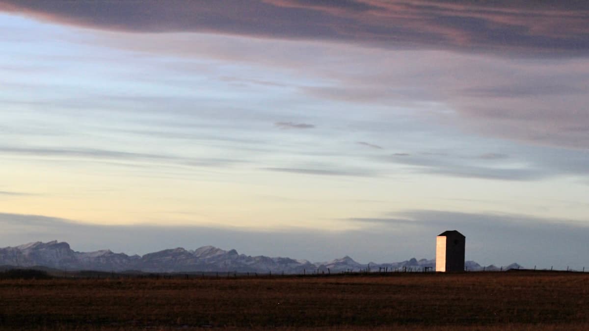 Grain Market Outlook: What Canadian Farmers Need to Know