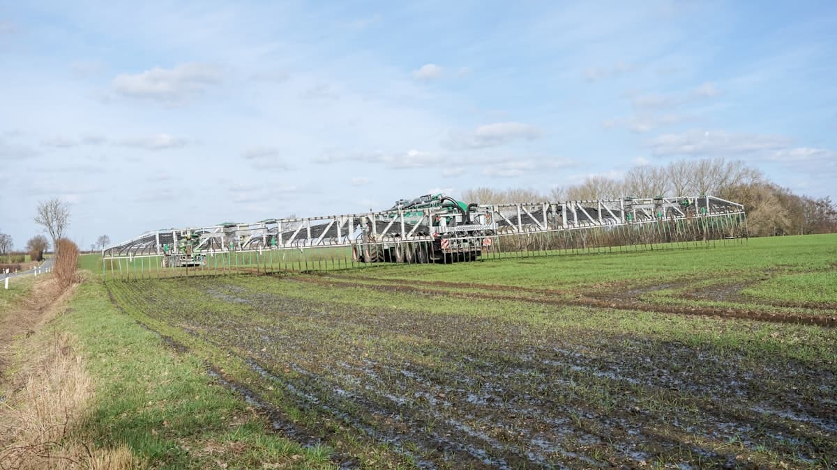 Manitoba farmers test split nitrogen timing for better yields